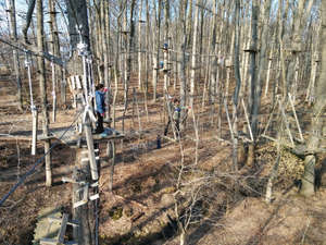 Sarah and Robert on the ropes course