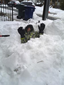 Buried in the mid-February snow