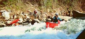 George on Daddy's Creek