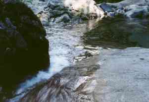 The pretty creek in the Cascades.