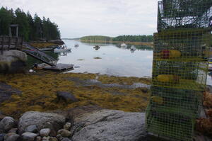 Our Friendship, Maine bay (low tide)