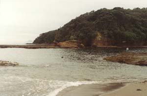 Goat Island; our first real view of New Zealand.