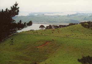 The east coast of the north island of New Zealand.