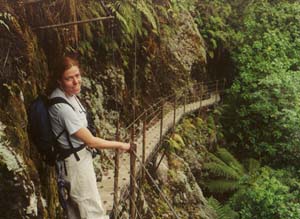 Sarah on the hanging steps of Robert's Peak trail at Franz Josef.