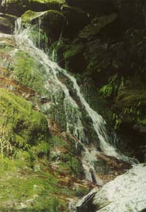 Waterfall on the way to Robert's Point.