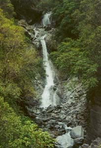 Waterfall by Franz Josef glacier.