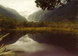 Franz Josef glacier from Peter's Pool