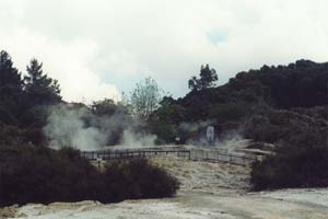 The bubbling pools of Hell's Gate.