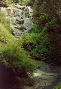 The hot water waterfall of Hell's Gate.