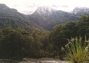 The mountains surrounding the Milford Track between Glade House and Pampolona.