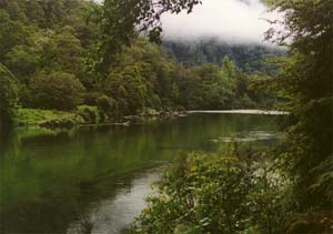 The Milford Track and Clinton River between Glade House and Pampolona.