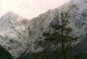 The 'meadow walk' mountains on the Milford Track.