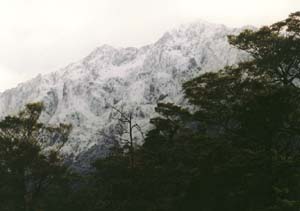 The 'meadow walk' mountains on the Milford Track.