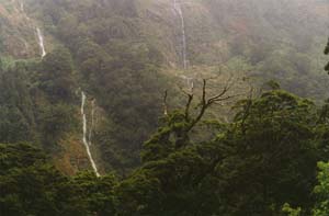 Waterfalls between Glade House and Pampolona.