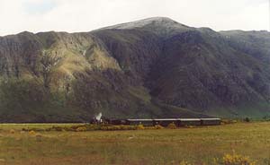 The Kingstown Flyer looks like a model in with the New Zealand background.