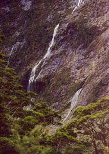 Waterfall between Glade House and Pampolona Lodge.