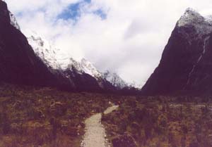 The Milford Track between Glade House and Pampolona Lodge.