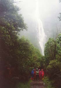The Sutherland Falls hikers.