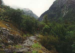 Sarah (the red pack) on the trail to Sandfly Point.