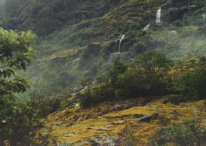 Waterfall between Quintin Lodge and Sandfly Point.