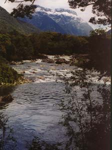 Arthur River on day 4.