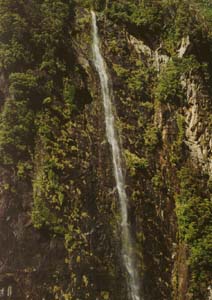 Waterfall in Milford Sound.