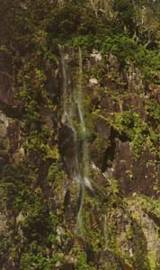 Waterfall in Milford Sound.