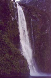 Waterfall in Milford Sound.