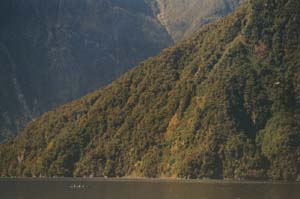 Milford Sound, for scale see the sea kayaks in the bottom center or sight seeing airplane on the right edge?