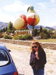 Driving to Mt. Cook.