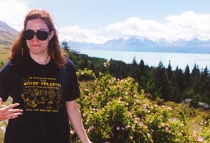 Driving to Mt. Cook.