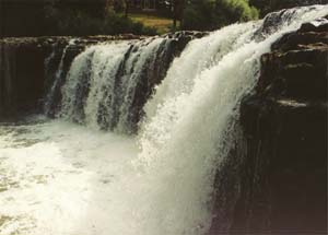 Haruru Falls just outside of Pahia.