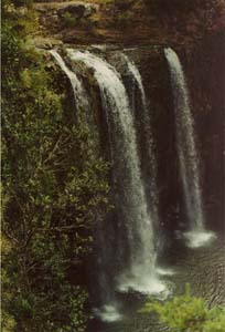 Whangarei Falls, Whangarei, New Zealand.