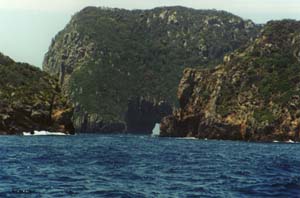 One of the many arches at the Poor Knights Islands.