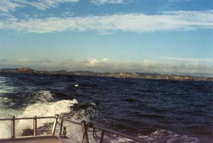 The north east coast of the north island as seen from the dive boat.