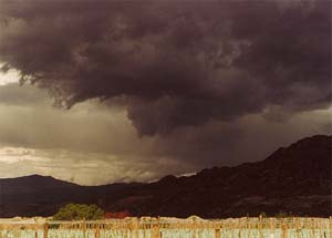 Storm clearing over vinyard on the way to Queenstown.