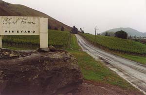 We liked the Chard Farm wines.