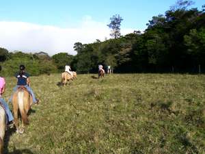 Monteverde, CR 1/23/2007.