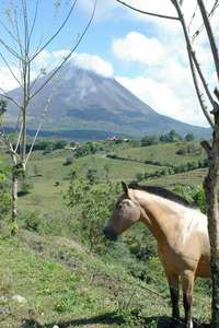 Arenal, CR 1/21/2007.