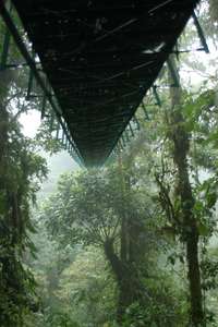 Monteverde, CR 1/23/2007.