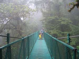 Monteverde, CR 1/23/2007 (photo by SZap).