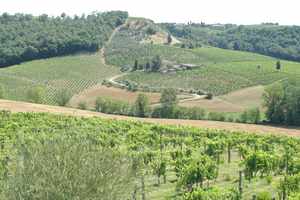 On the road to San Gimignano Tuscany 2005.