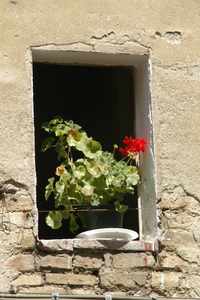 San Gimignano Tuscany 2005.