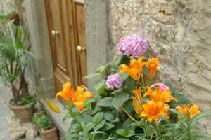 Radda in Chianti Tuscany 2005.