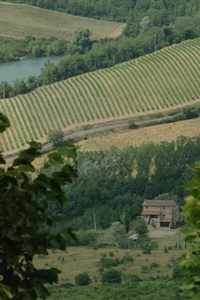View from Radda in Chianti Tuscany 2005.