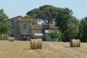 Orentano Tuscany 2005.