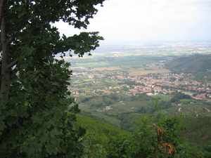 La Strada dell'Olio Tuscany 2005 (photo by SZap).