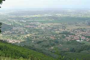 La Strada dell'Olio Tuscany 2005.