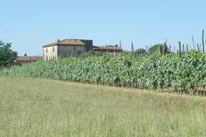 Corte Medicino Tuscany 2005.