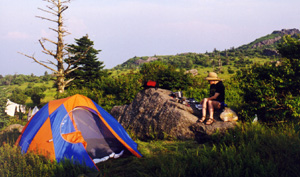 Wilburn Ridge Campsite